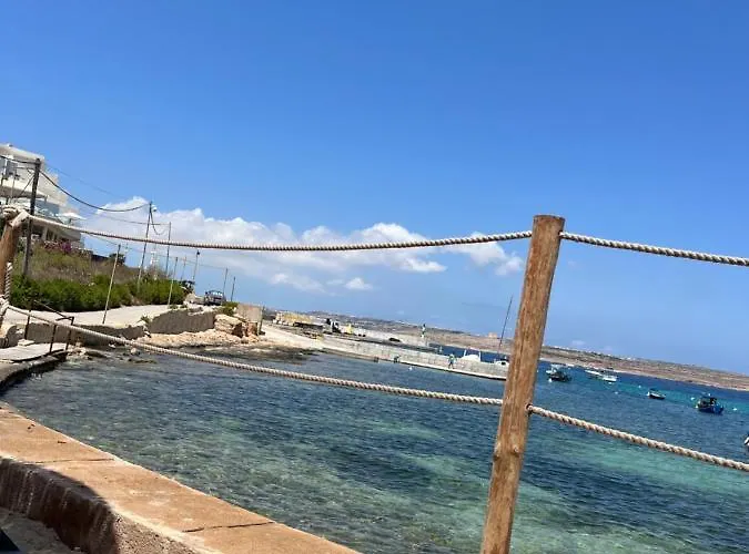 One To Rent In The Apartment *