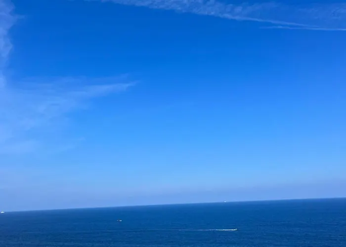 One To Rent In The Apartment *